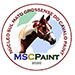 Logo de 7º PF, CAMP. NACIONAL E ETAPA MSCPAINT