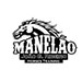 Logo de II PROVA DO MANELÃO